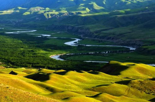 環境時評丨保護生態環境要有定力 經濟日報