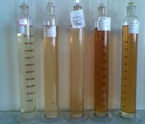 新疆理化所 高端酯類系列潤滑油研制 項目通過驗收