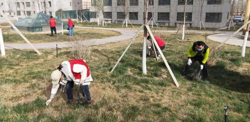 東城街道馬家坪社區(qū) “雙報(bào)到”黨員先鋒行，攜手共建美麗家園